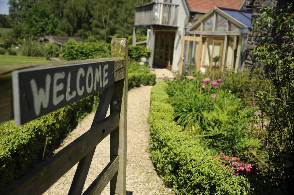 Timberstone Bed & Breakfast Bed & Breakfast Bitterley Eksteriør bilde